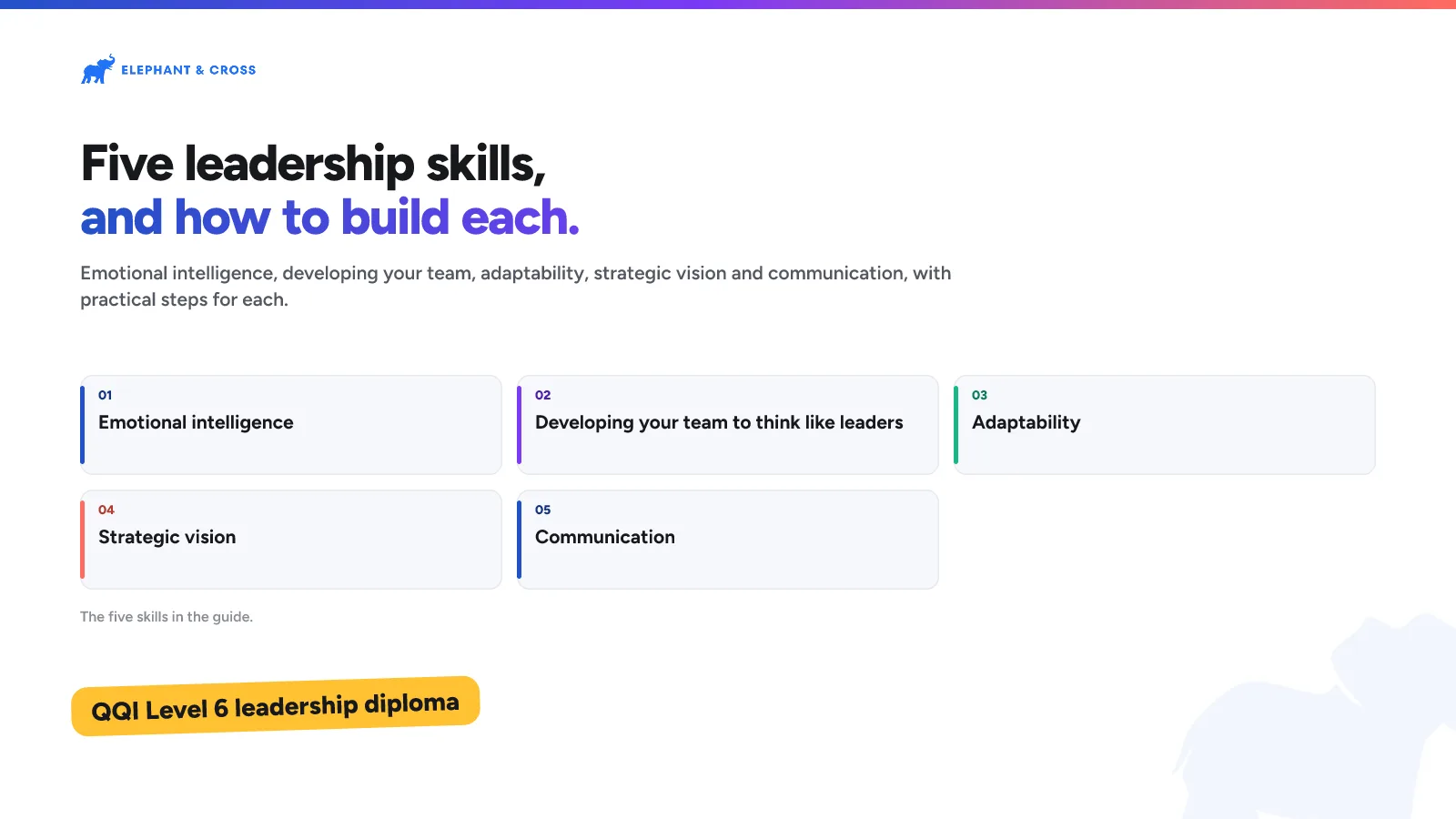Five leadership skills, and how to build each. Ireland: Emotional intelligence; Developing your team to think like leaders; Adaptability; Strategic vision; Communication. QQI Level 6 leadership diploma.