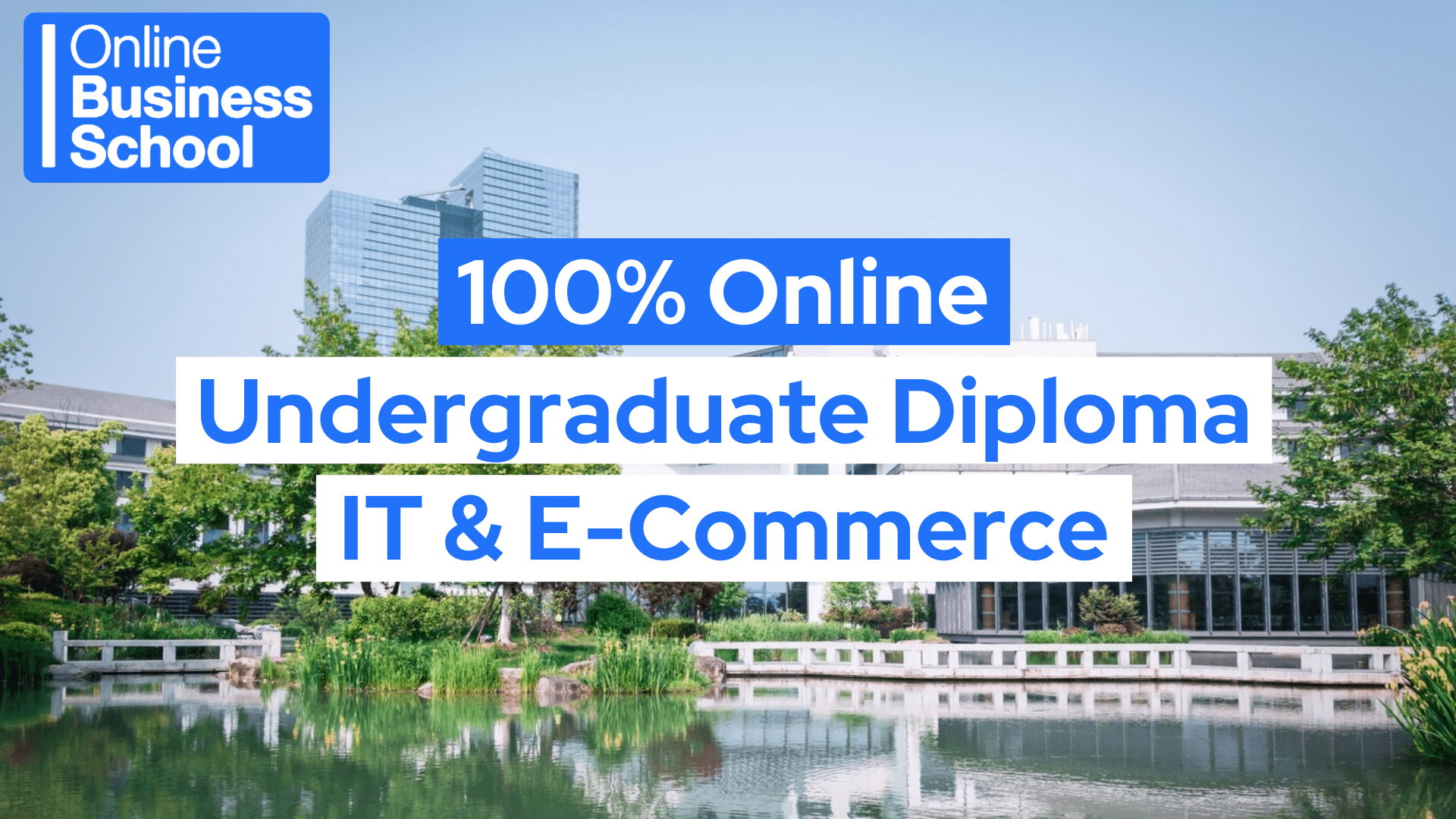 online e-commerce courses, diplomas in e commerce, diploma in e-commerce