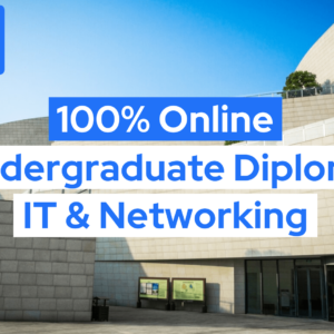 diploma in it and networking