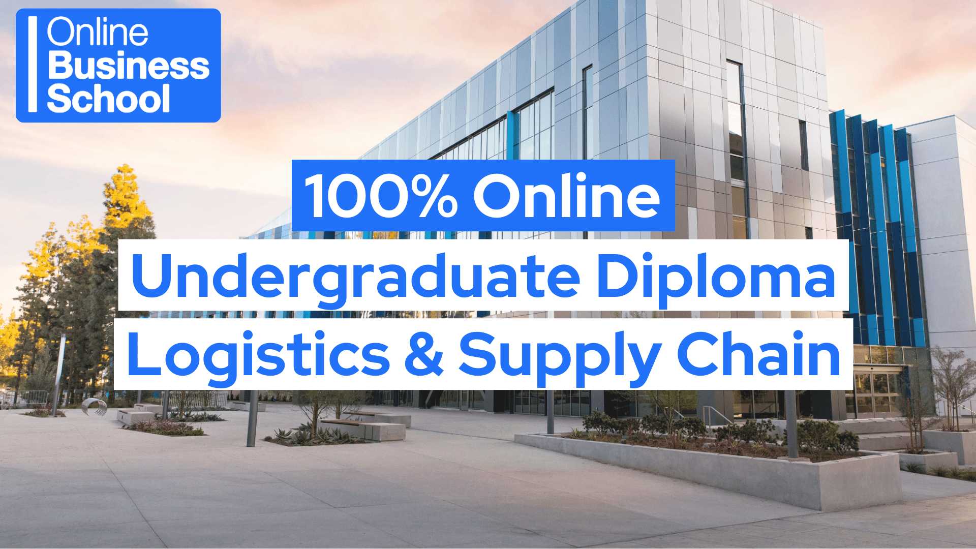 logistics and supply chain online diploma malta