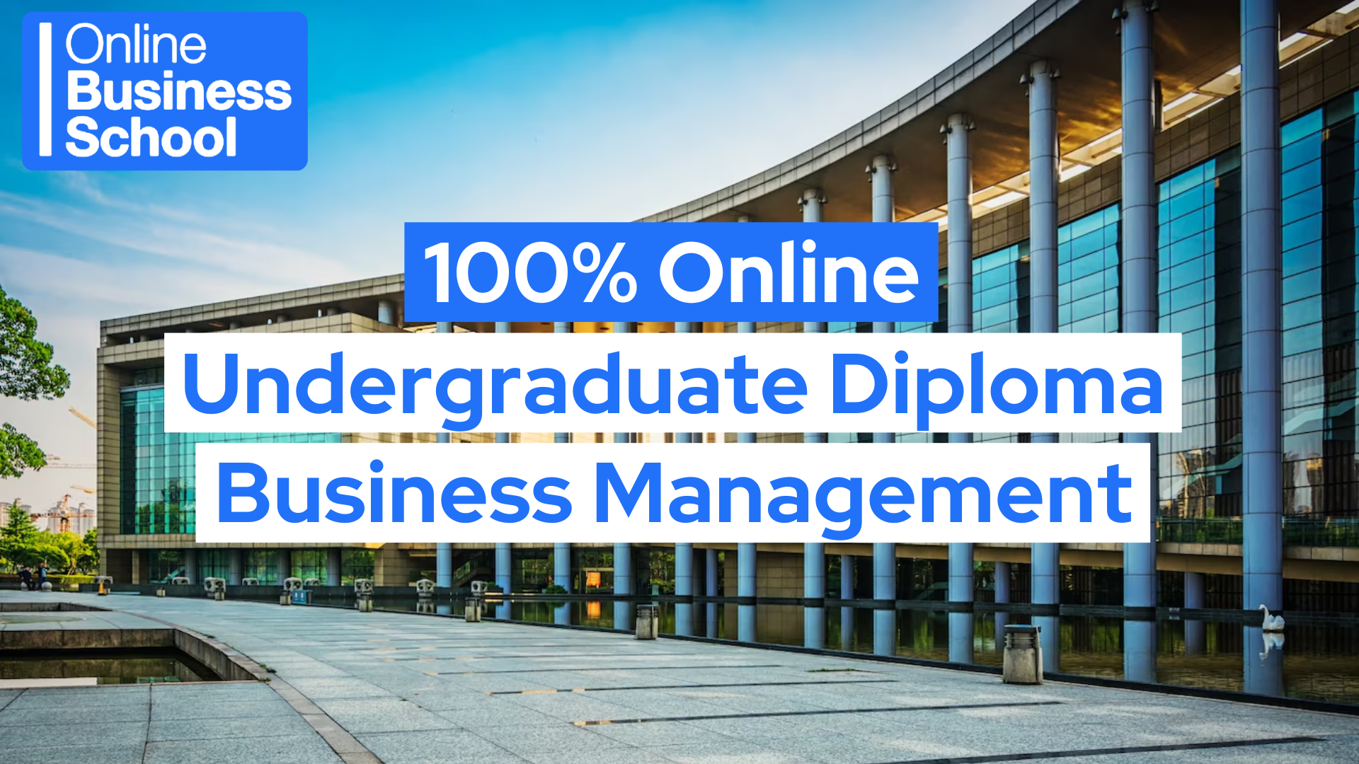 business management online diploma malta