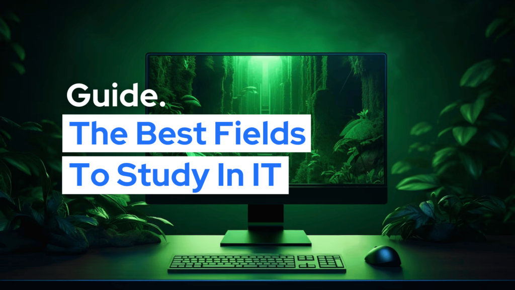 Best Field to Study in IT Malta Guide