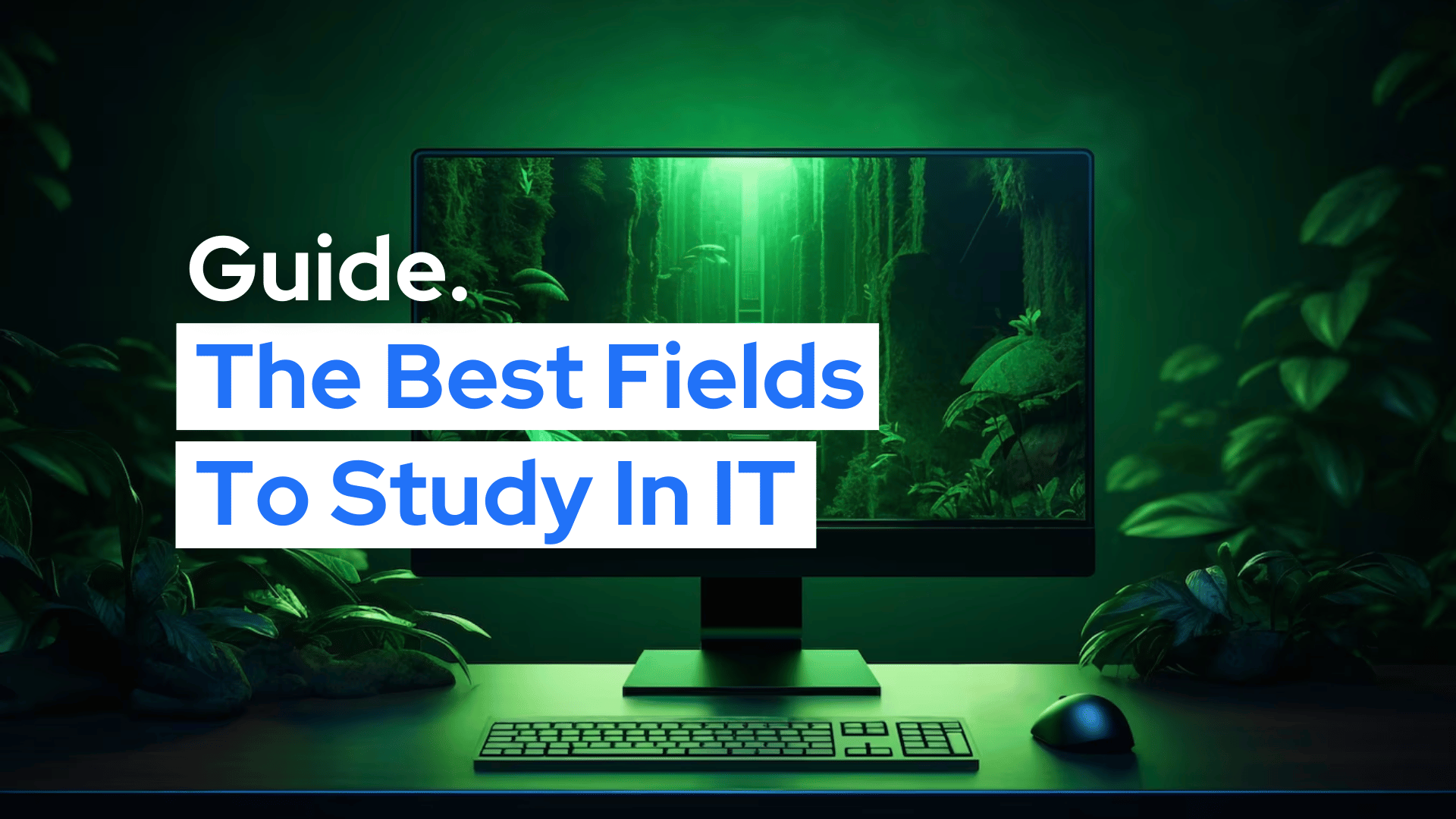 What is the Best Field to Study in IT? | Malta Guide