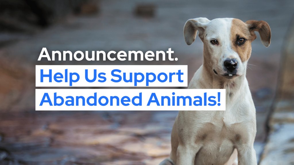 Join Elephant & Cross in Supporting Abandoned Animals This Christmas 🎄 2024 Donation Drive